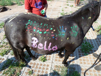 Bella bemalt