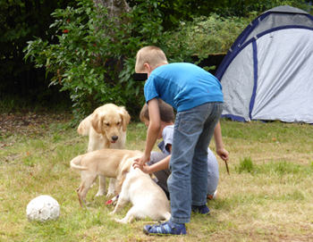 Kinder und Hunde