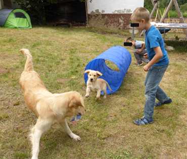 Tunnel Hunde Kinder