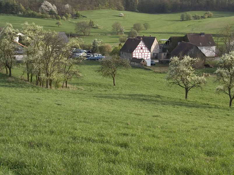 Hoffoto 116 KB